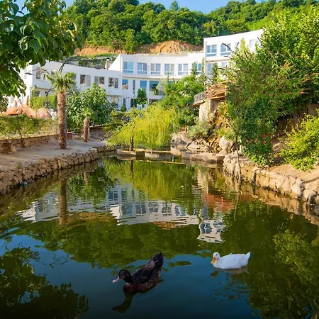 Hotel Arka Art