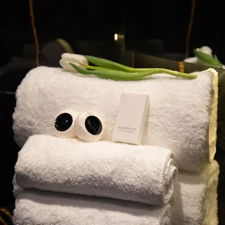 Arka Art Hotel 5*